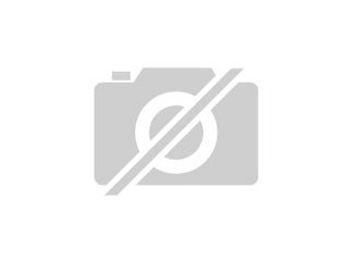 NOTVERKAUF Viele Kornnattern in versch
